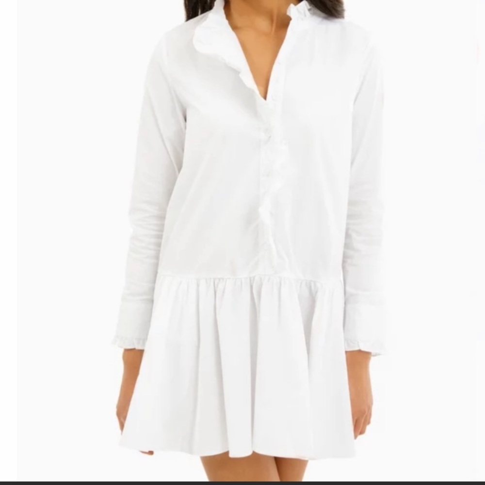 Tuckernuck Drop Waist Shirtdress